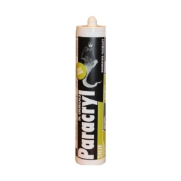 Mastic acrylique Paracryl SNJF