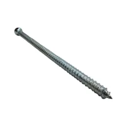 Vis de fixation TopRoc avec tête Ø7,5 x 170 mm, support maçonné