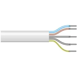 Câble électrique 5 fils, longueur 50 mètres - blanc
